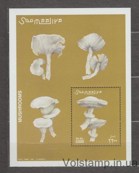 2002 Сомали Блок (Грибы) MNH №БЛ94