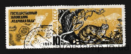 1967 марка Заповедник "Кедровая падь" Гашеная №3452