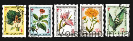 1973 серія марок Лікарські рослини Гашена №4209-4213