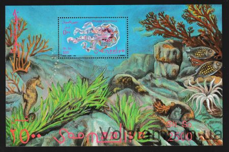 1995 Сомали (Морская фауна) MNH №БЛ 37