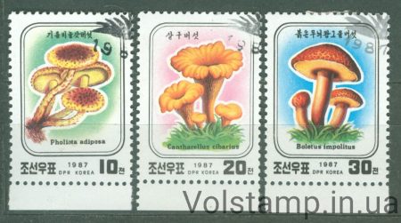 1987 Північна Корея Серія марок (Гриби) Гашені №2798-2800