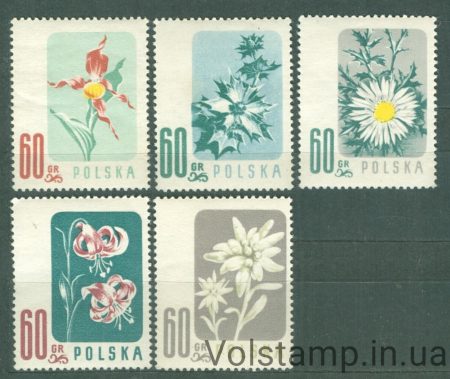1957 Польща Серія марок (Захищені квіти (1957)) MNH №1020-1024