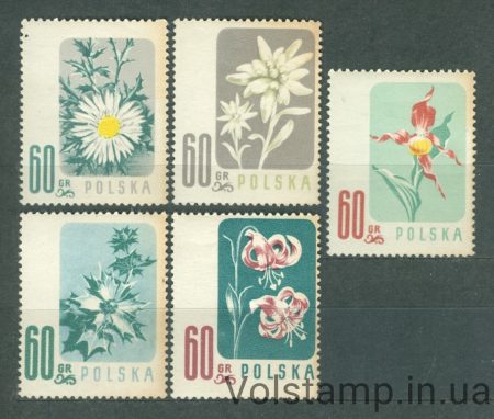 1957 Польща Серія марок (Захищені квіти) MH №1020-1023