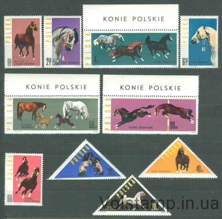 1963 Польша Серия марок (Лошади 1963) MNH №1447-1456