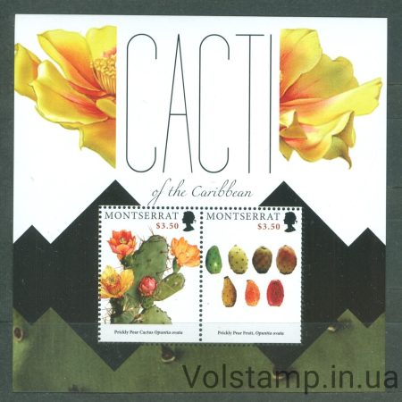 2012 Montserrat Block (Cacti of the Caribbean) MNH №BL 139