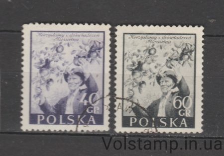 1954 Польша Серия марок (Месяц польско-советской дружбы) Гашеные №870-871