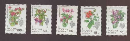 1993 Росія Серія марок (Флора – Кімнатні рослини) MNH №296-300