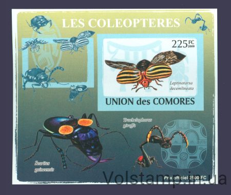2009 Comoros (insects) MNH