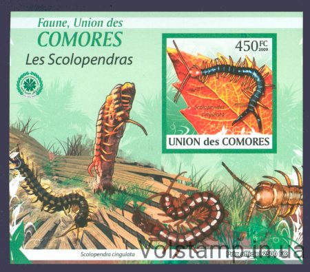 2009 Comoros (insects, Sorry-Distribution) MNH