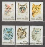 1993 Румыния Серия марок (Домашние кошки) MNH №4885-4890