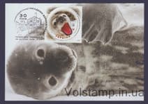 2025 Картмаксимумы Антарктическая станция «Академик Вернадский» №2223