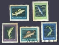 1958 Польща Серія марок (Риби) MNH пожовклий папір №1051-1055
