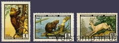 1961 серия марок Фауна СССР №2445-2447
