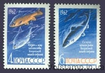 1962 серия марок Рыбы №2645-2646
