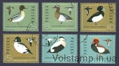 1985 Польша Серия марок (Птицы) Гашеные №2998-3003