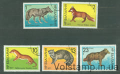 1977 Болгария серия марок (Фауна, млекопитающие, волк, кот, лиса) Гашеные №2597-2601