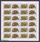 2000 sheets Triton Salamander №341-342