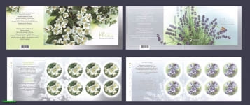 2020 листы Цветы жасмин и лаванда Флора СЕРИЯ №1815-1816