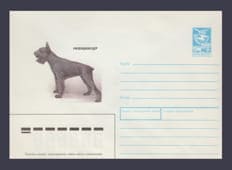 1989 ХМК (Різеншнауцер) №285