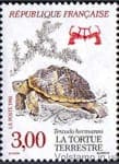 1991 Франция Марка с серии (Черепаха Германа (Testudo Hermanni)) Гашеная №2854