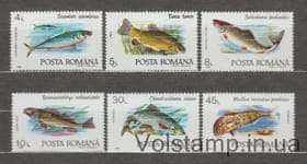 1992 Румыния Серия марок (Рыбы) MNH №4776-4781