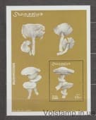 2002 Сомали Блок (Грибы) MNH №БЛ94