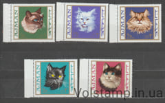1968 Аджман Серия марок (Фауна, коты, кошки) MNH №318-322