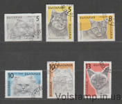 1989 Болгария Серия марок (Кошки, коты) Гашеные №3808-3813