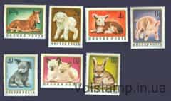 1974 Венгрия Серия марок (Котята, шенки, кони, млекопитающие) MNH №3007-3013 