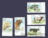 1984 Cuba series of stamps (cow) Used №2880-2884